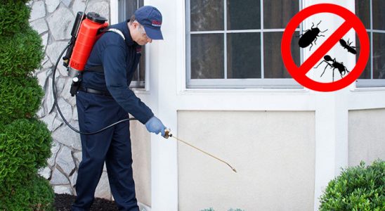 Kargı Böcek İlaçlama böcek ilaçlama ve haşere kontrolü — ilaclama-tr.com